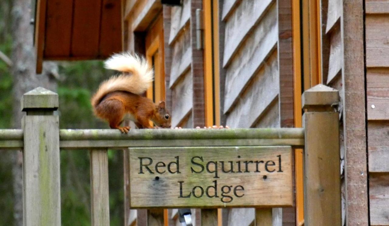 Cairngorm Lodges Aboyne Buitenkant foto