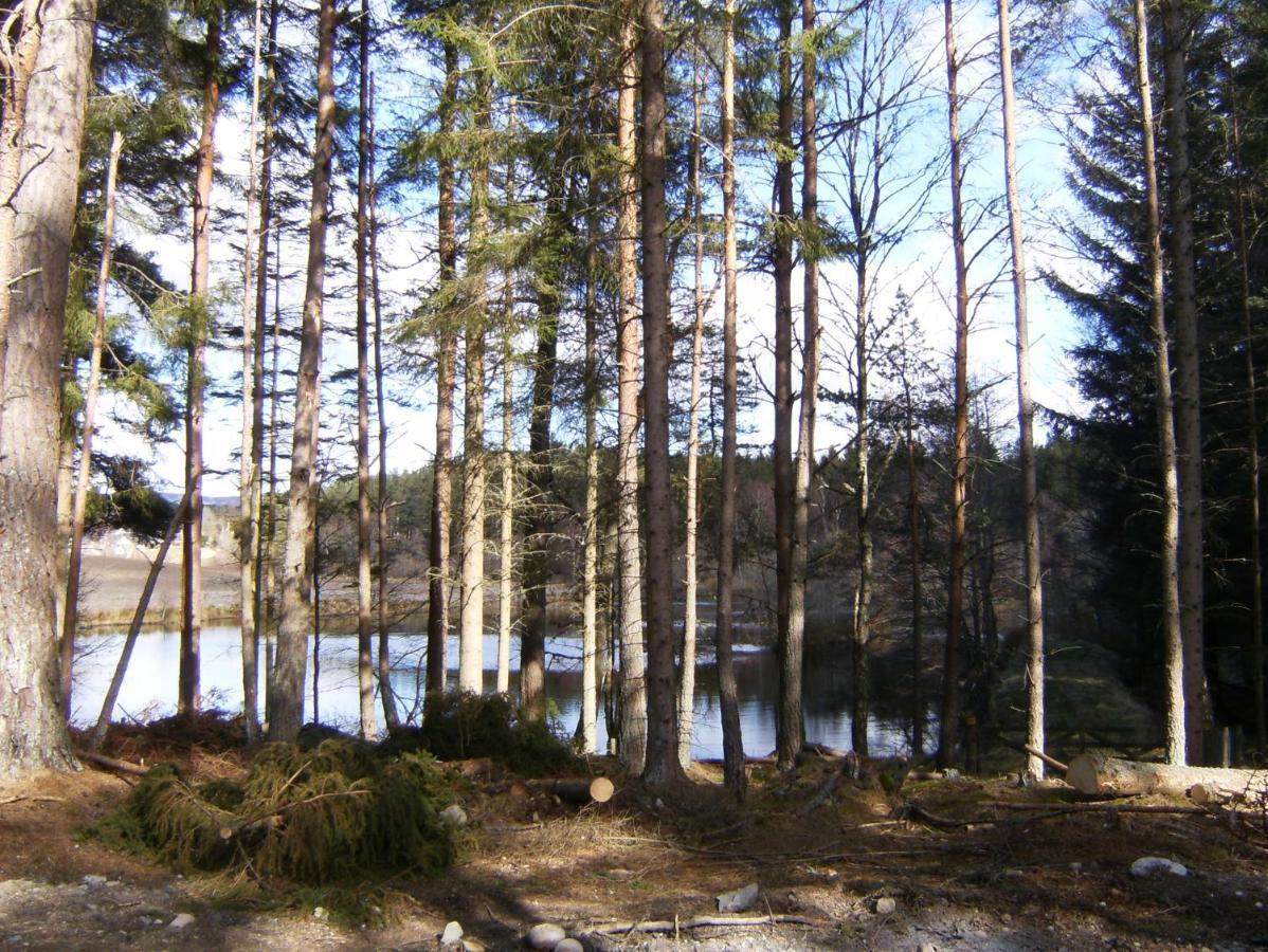 Cairngorm Lodges Aboyne Buitenkant foto