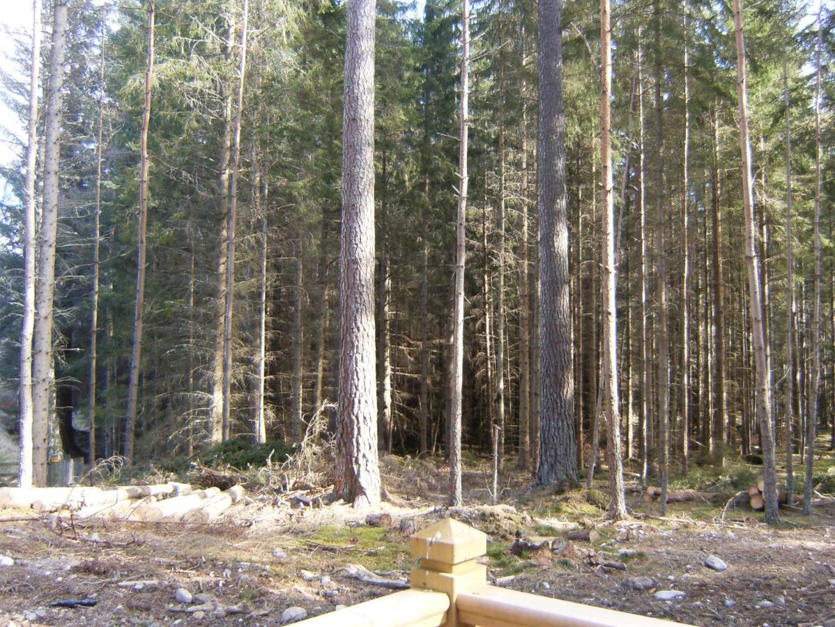 Cairngorm Lodges Aboyne Buitenkant foto