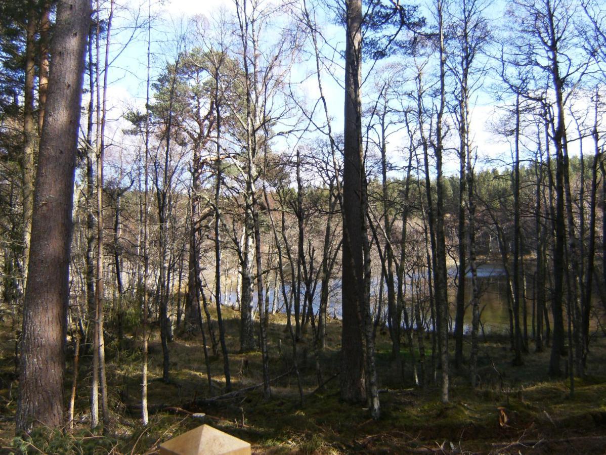 Cairngorm Lodges Aboyne Buitenkant foto