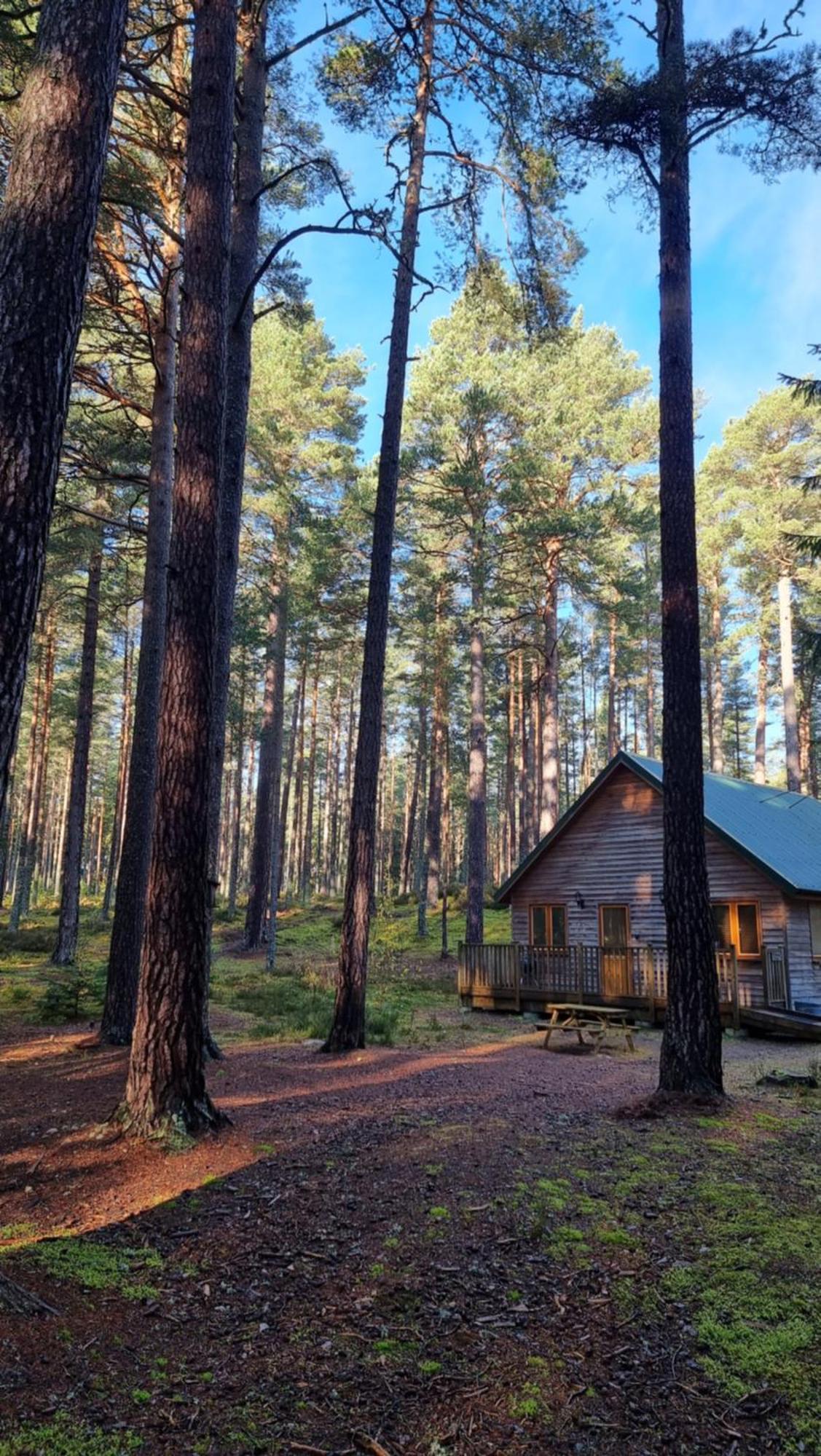 Cairngorm Lodges Aboyne Buitenkant foto