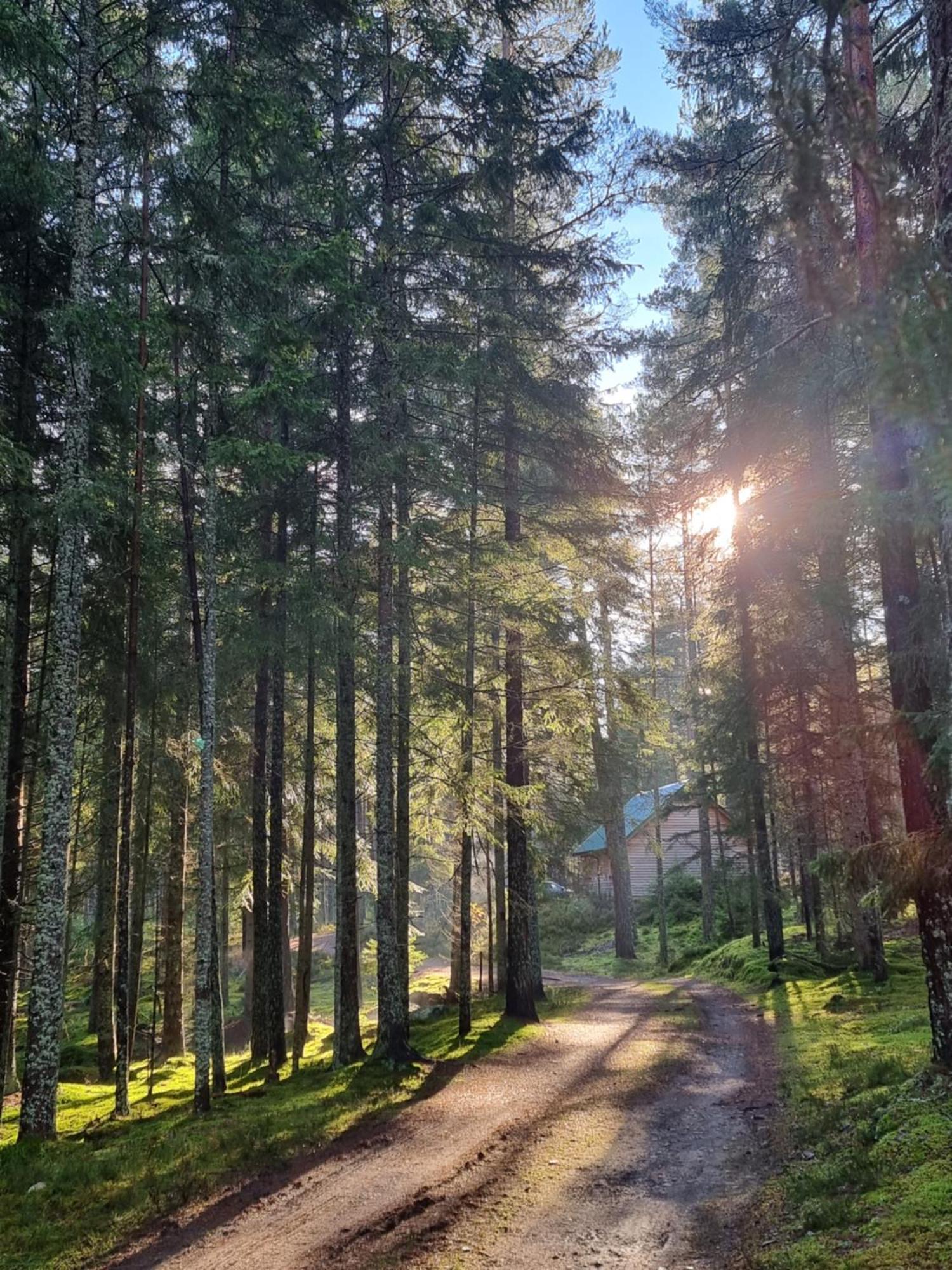 Cairngorm Lodges Aboyne Buitenkant foto