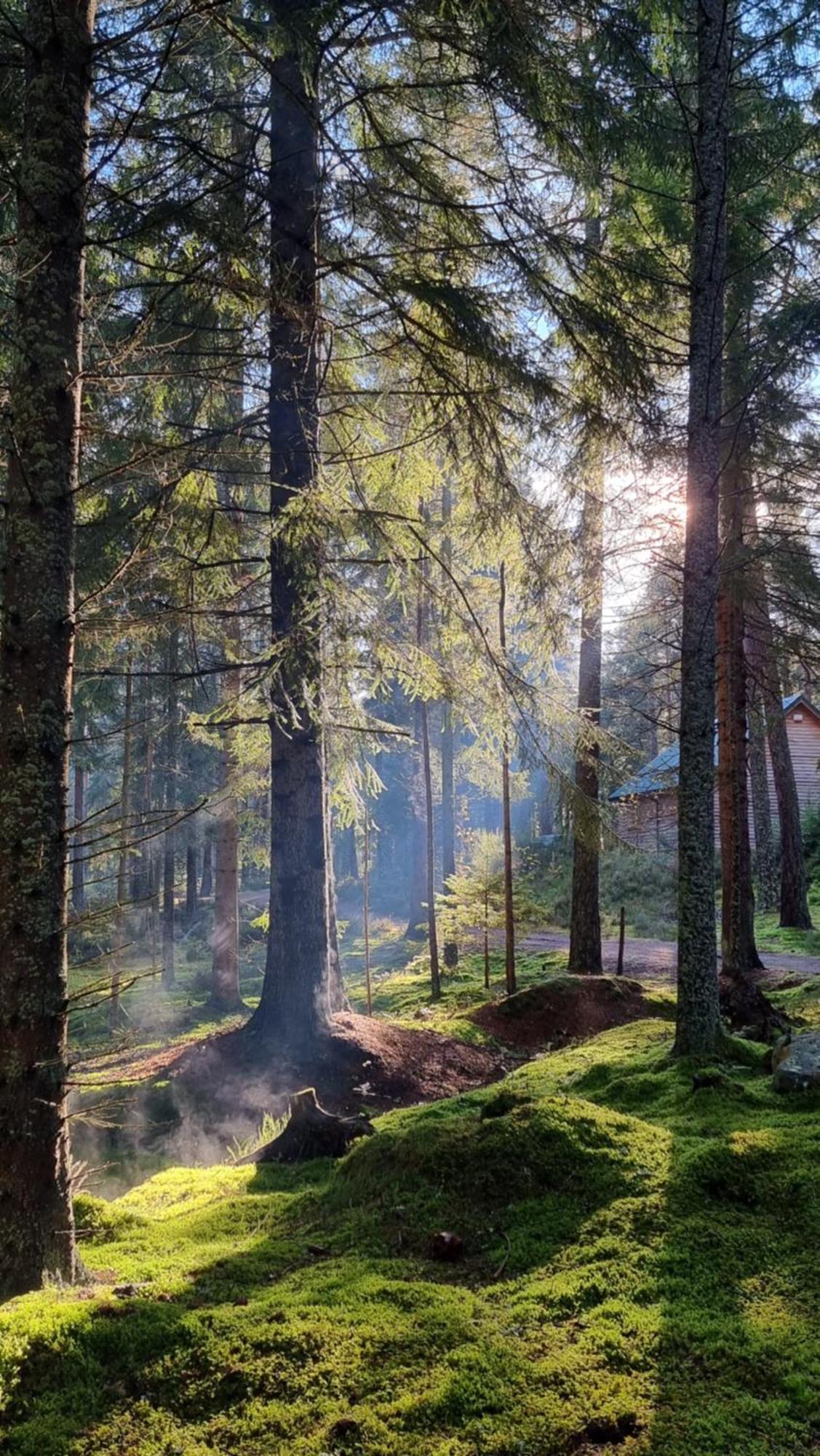 Cairngorm Lodges Aboyne Buitenkant foto