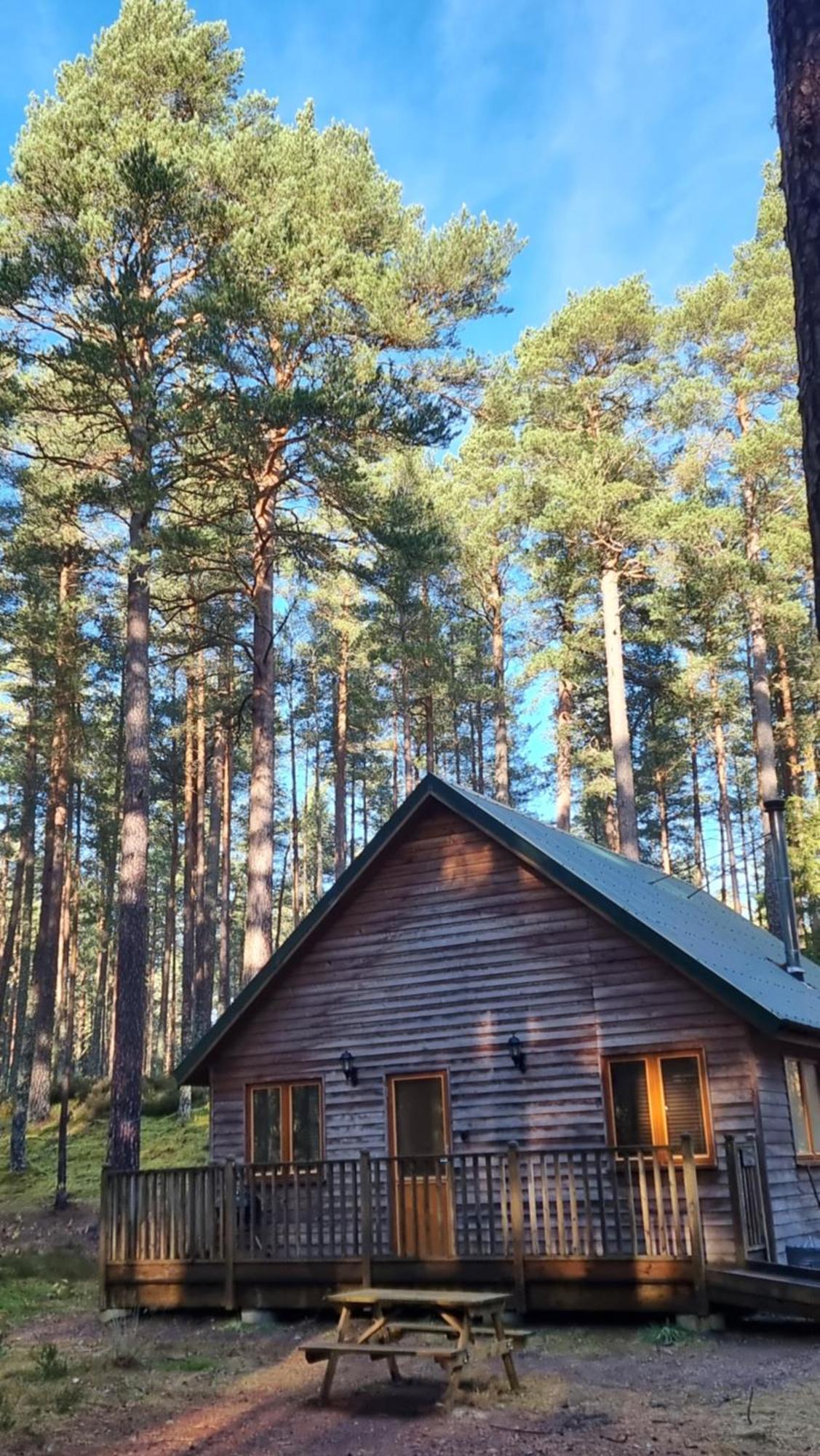 Cairngorm Lodges Aboyne Buitenkant foto