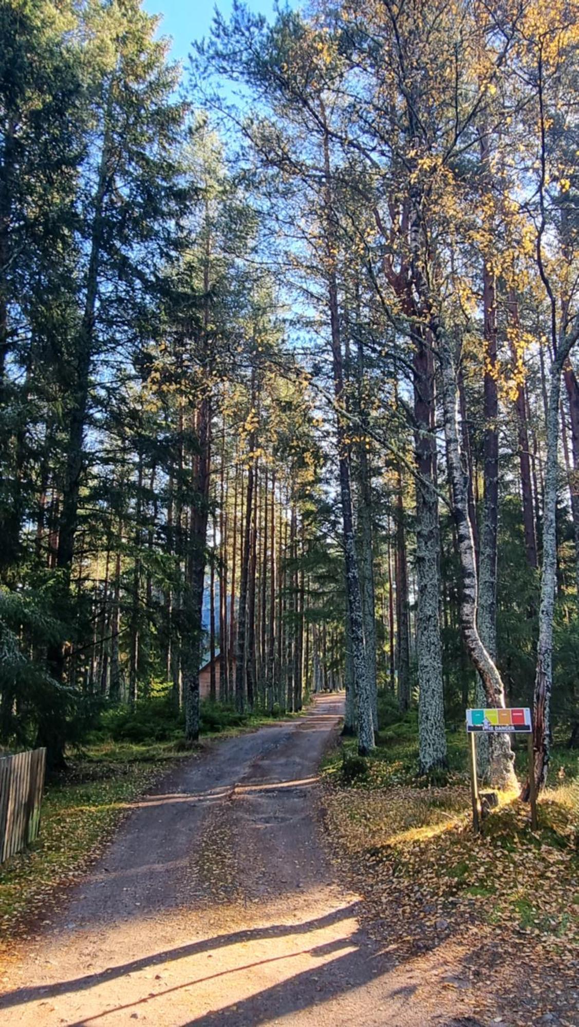 Cairngorm Lodges Aboyne Buitenkant foto